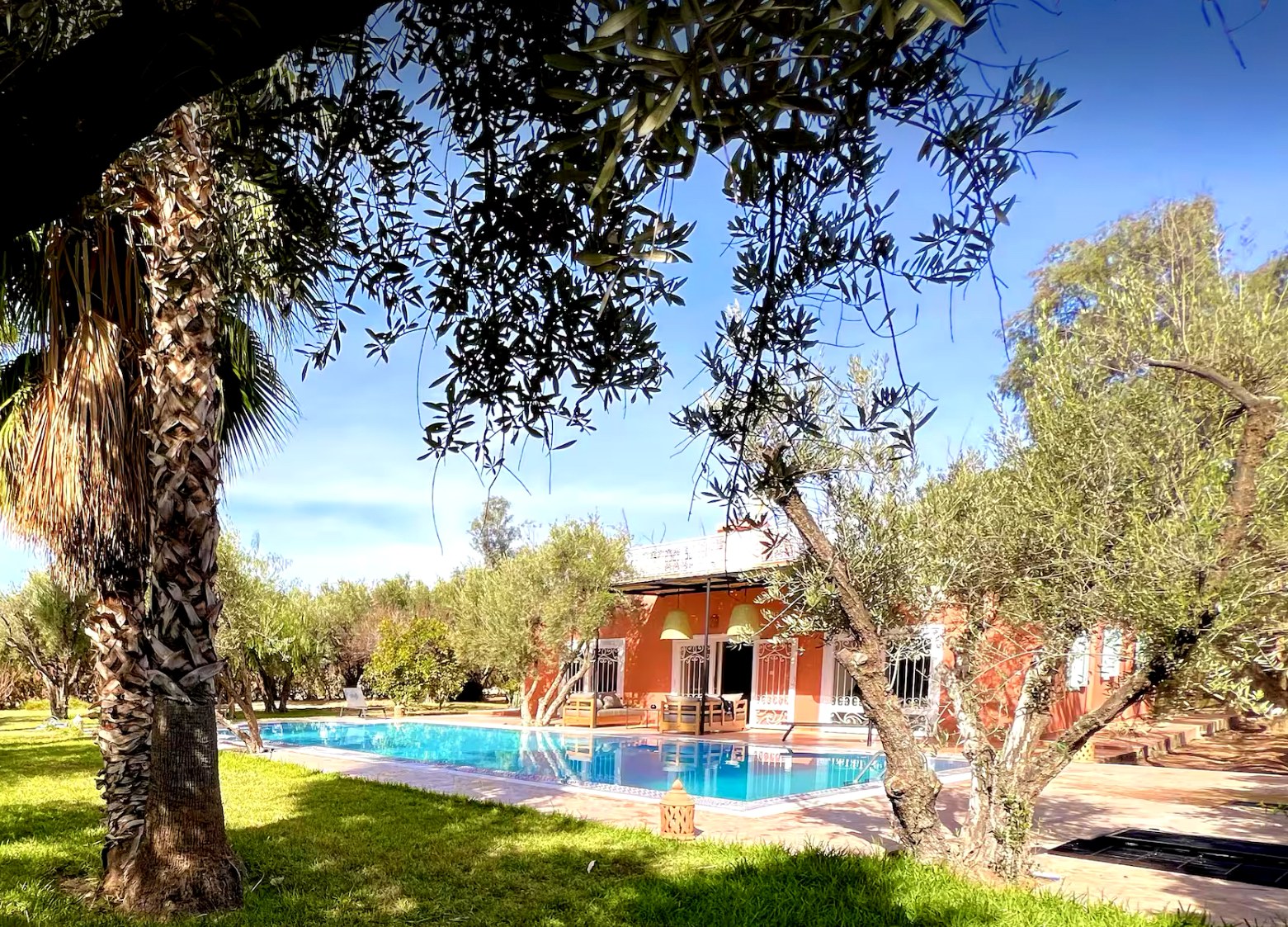 Villa Syba garden, pool and villa among the olive trees, Marrakech