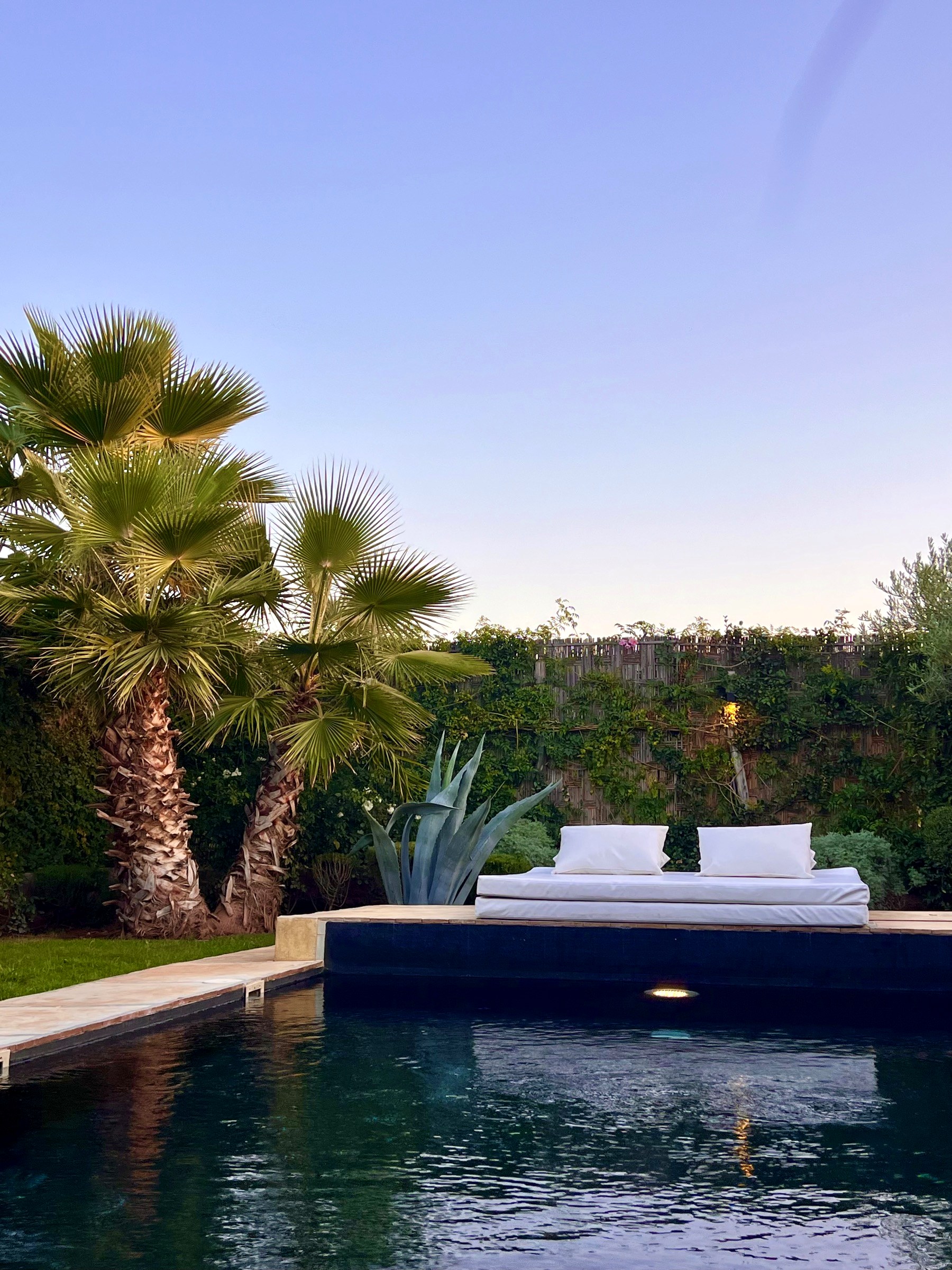Villa Coco, palm trees and pool at dusk