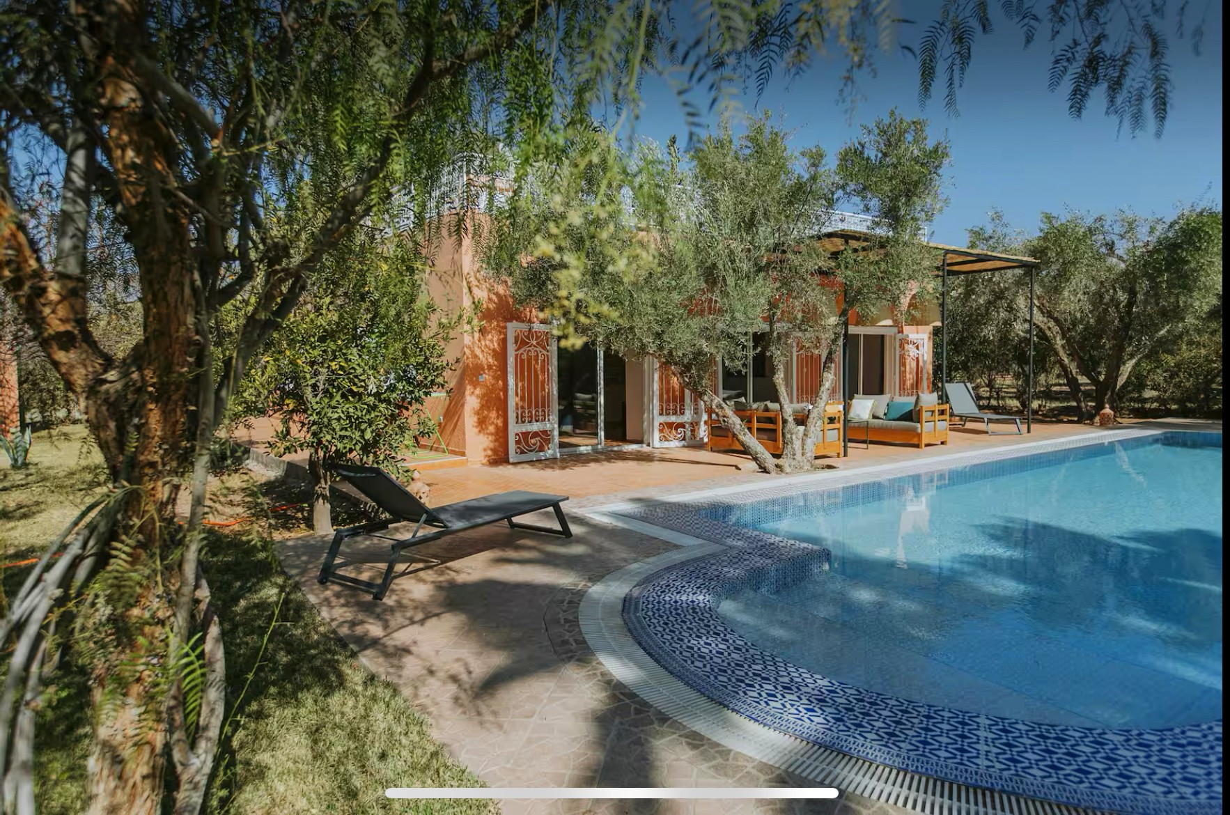 Villa Syba, pool shaded by olive trees