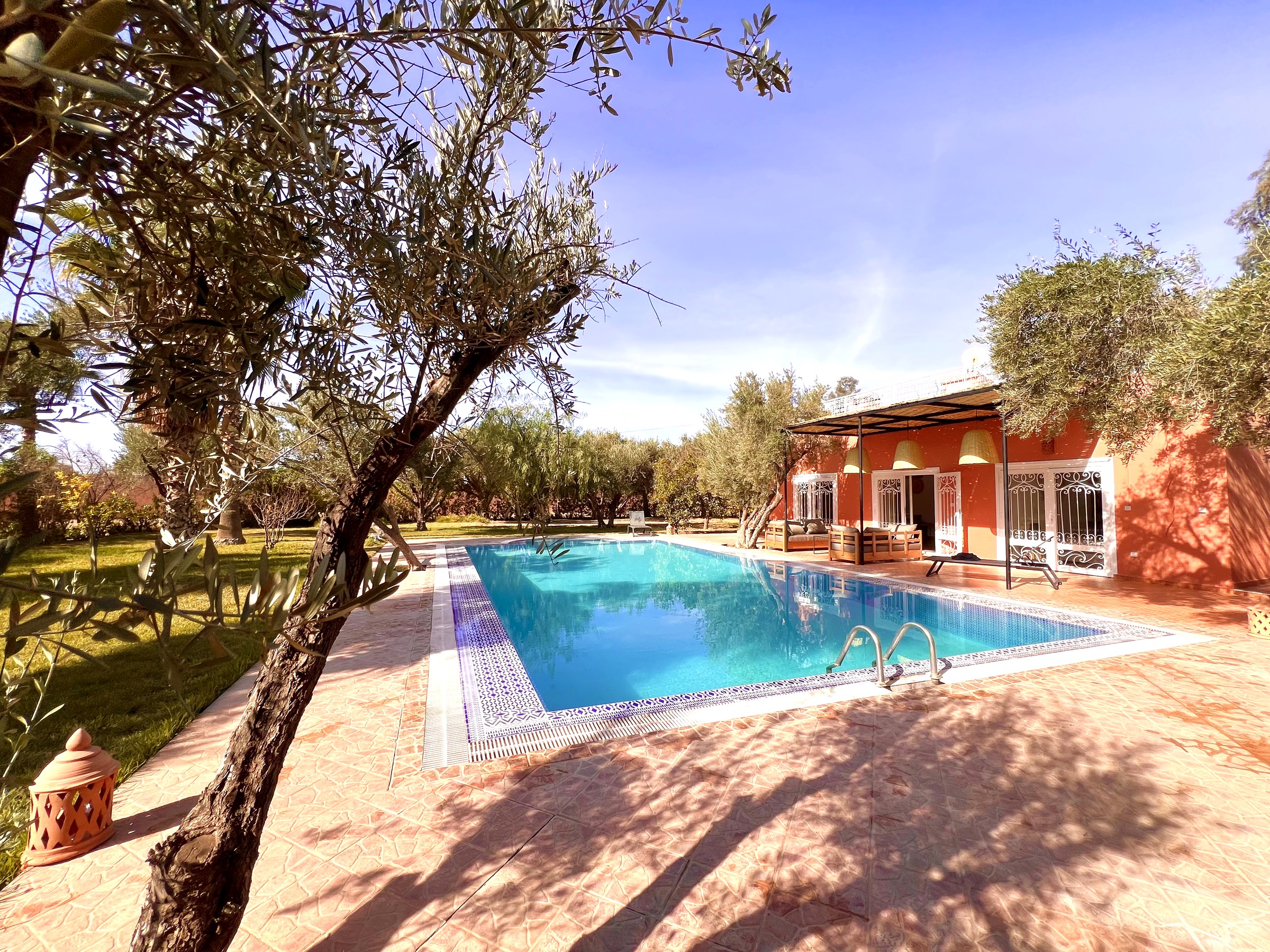 Villa Syba, pool and pergola among the olive trees