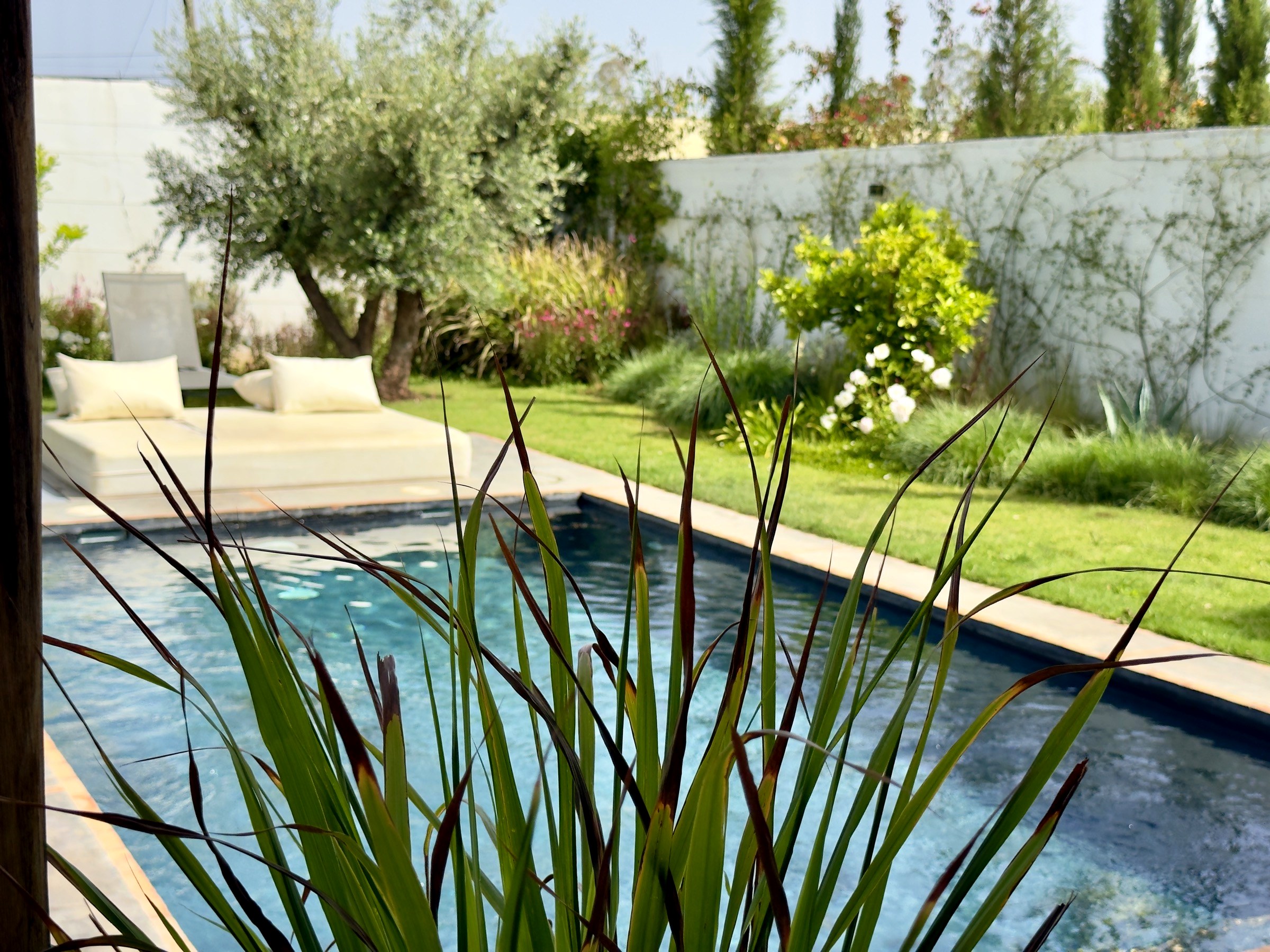 Villa Zaza, pool and garden lounge